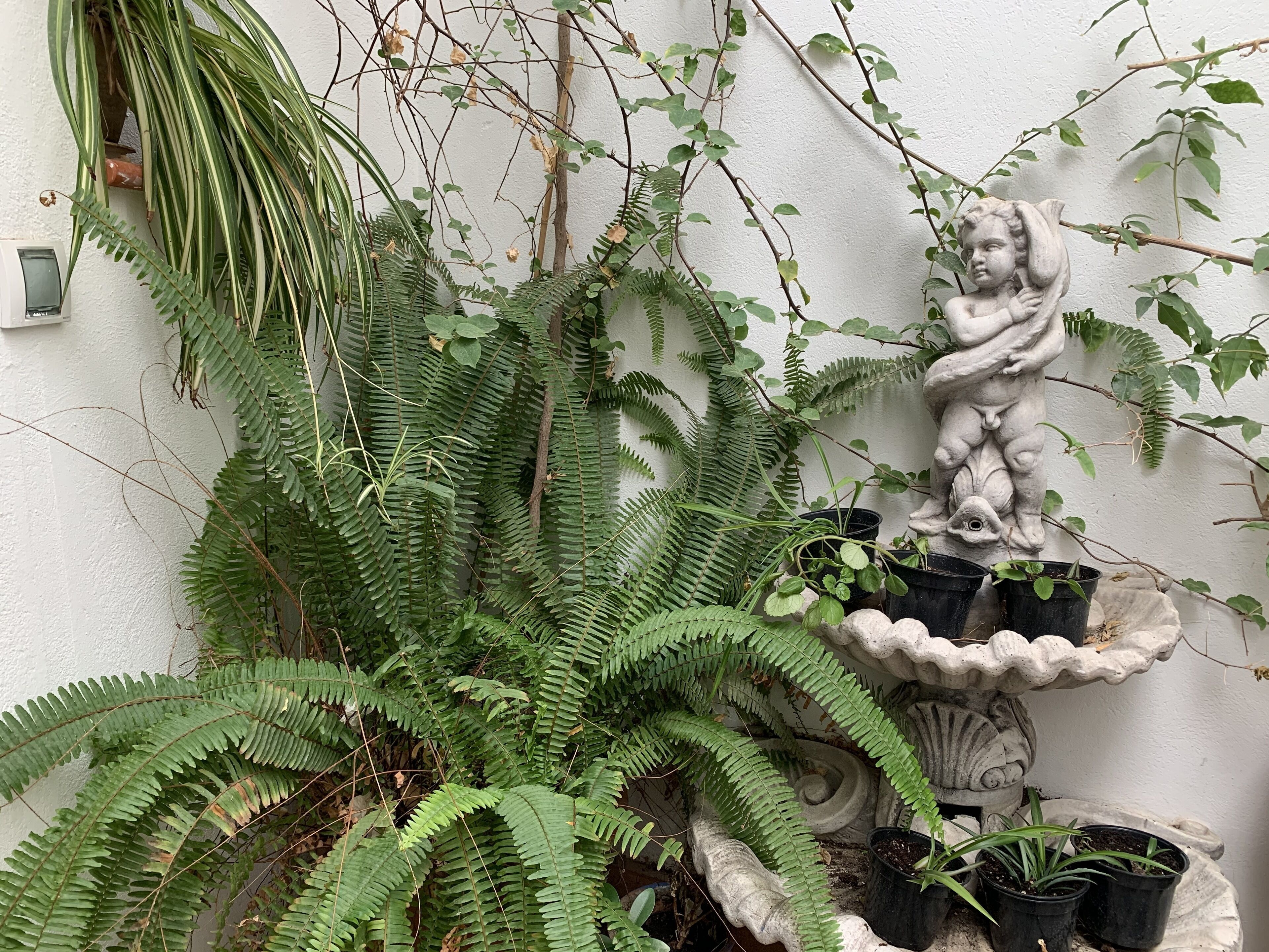 Foto - Hotel Casa Palacio la Sal