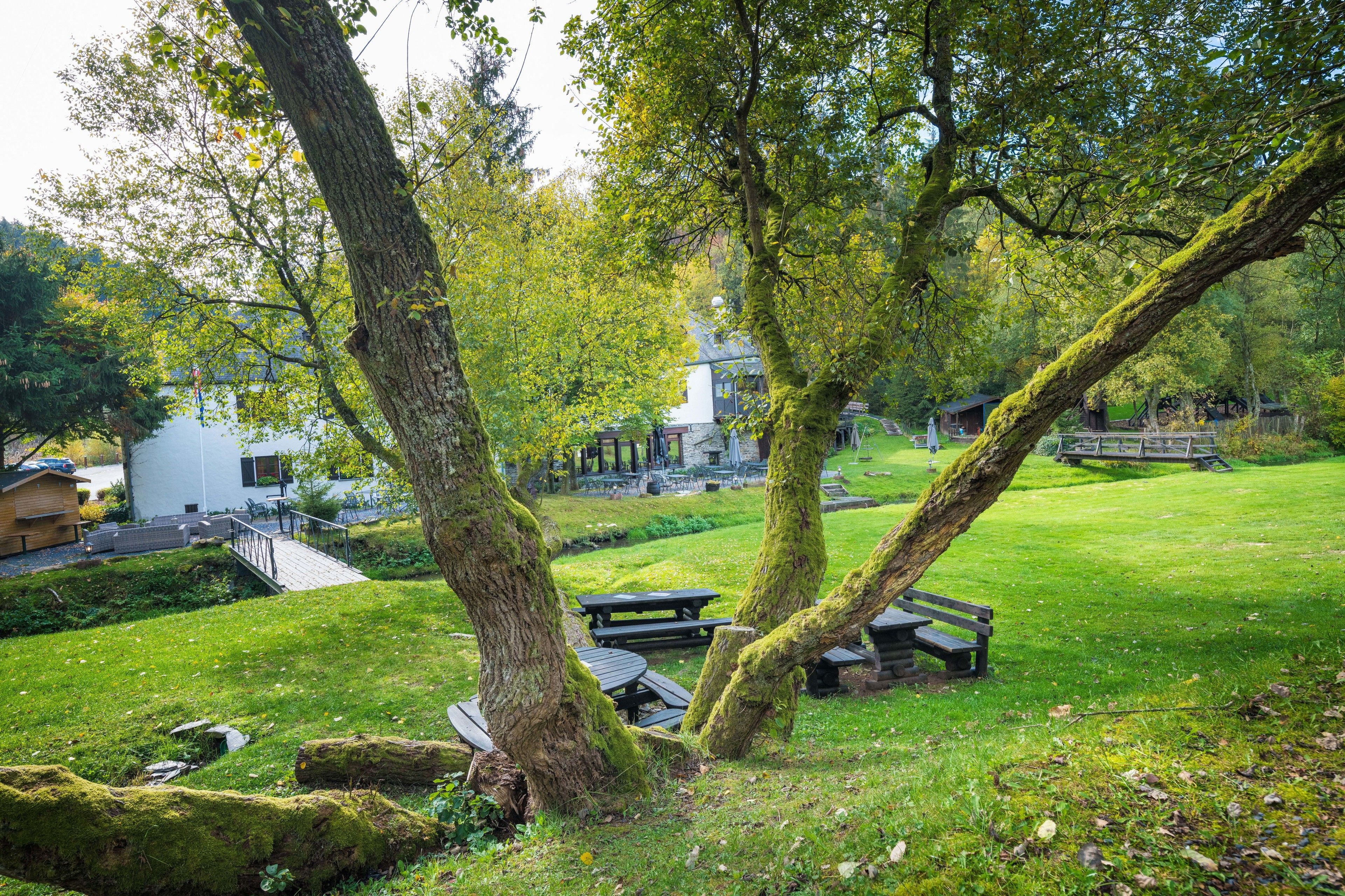 A park with picnic tables and a white building in the background.