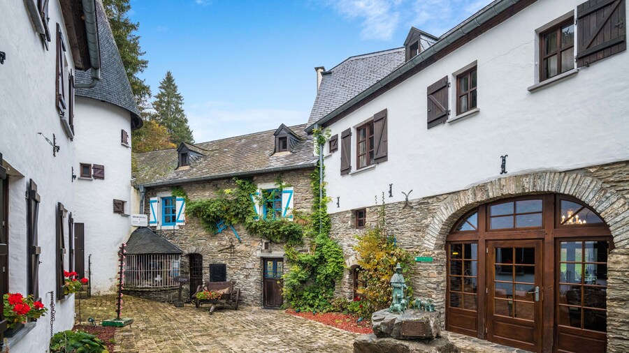 Domaine du Moulin d'Asselborn