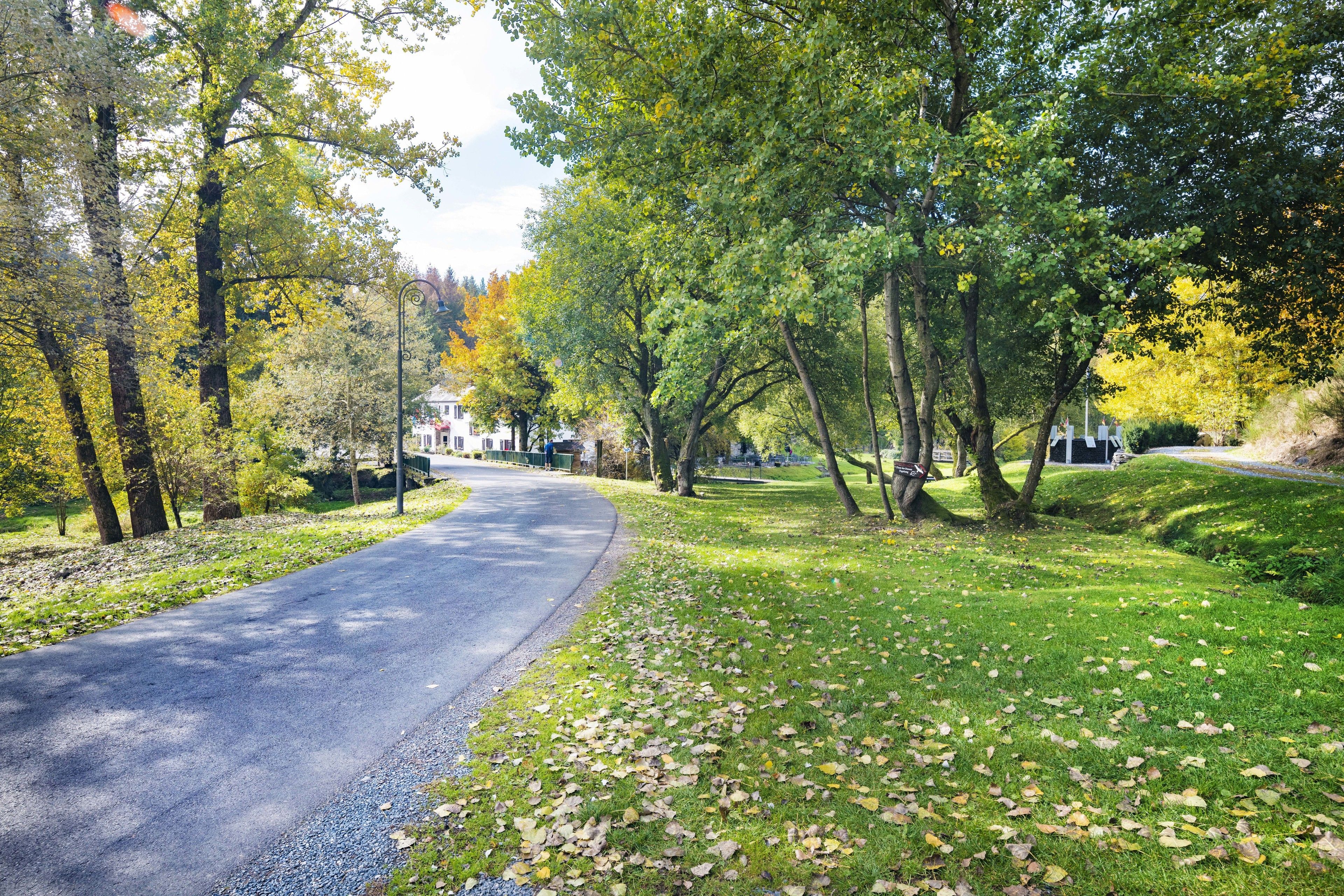 Une rue bordée d’arbres, avec une chaussée pavée, des espaces verts et un bâtiment en arrière-plan.