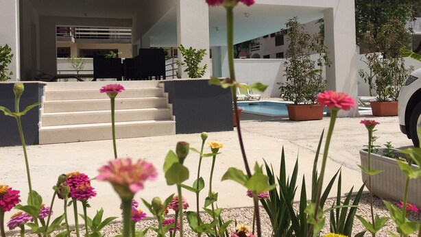 Et moderne udendørs område med trapper ned til et overdækket siddeområde, omgivet af krukker med planter og blomster.