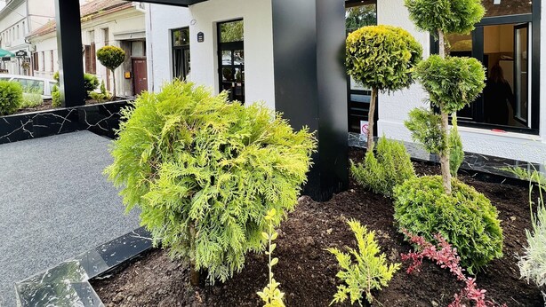 Entrada de hotel con diseño moderno, que incluye una zona cubierta y jardines bien cuidados.