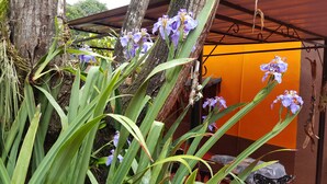 A rustic outdoor area with a tree and purple flowers, a wooden structure, and an orange wall. - Terra Iguazú Apart Hotel (Puerto Iguazú)