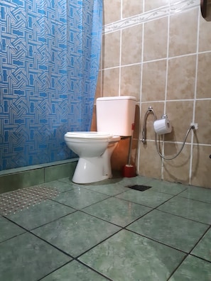 A bathroom with a toilet, a shower, and a patterned wall.