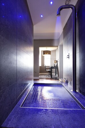 Habitación ejecutiva | Baño | Artículos de higiene personal gratuitos, secador de pelo y albornoces