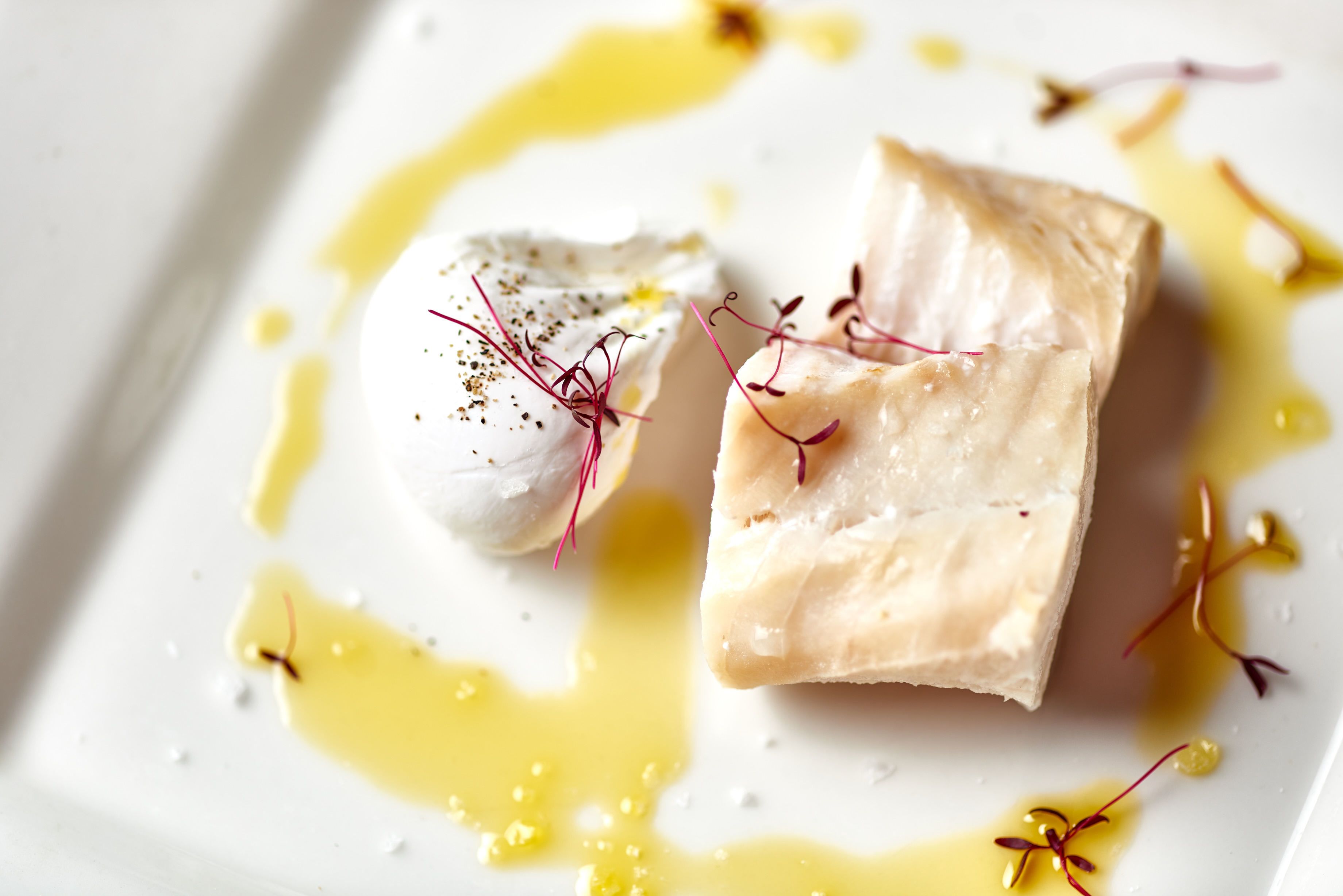 A white plate with a piece of fish, a dollop of cream, and some edible flowers.
