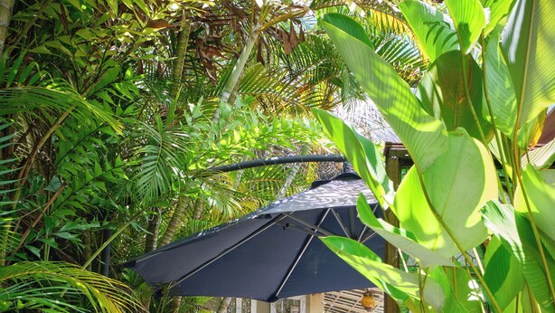 A garden pathway leading to a wooden table and chairs, surrounded by lush greenery and a large potted plant. - Pousada Pontal Gardens (Paraty)