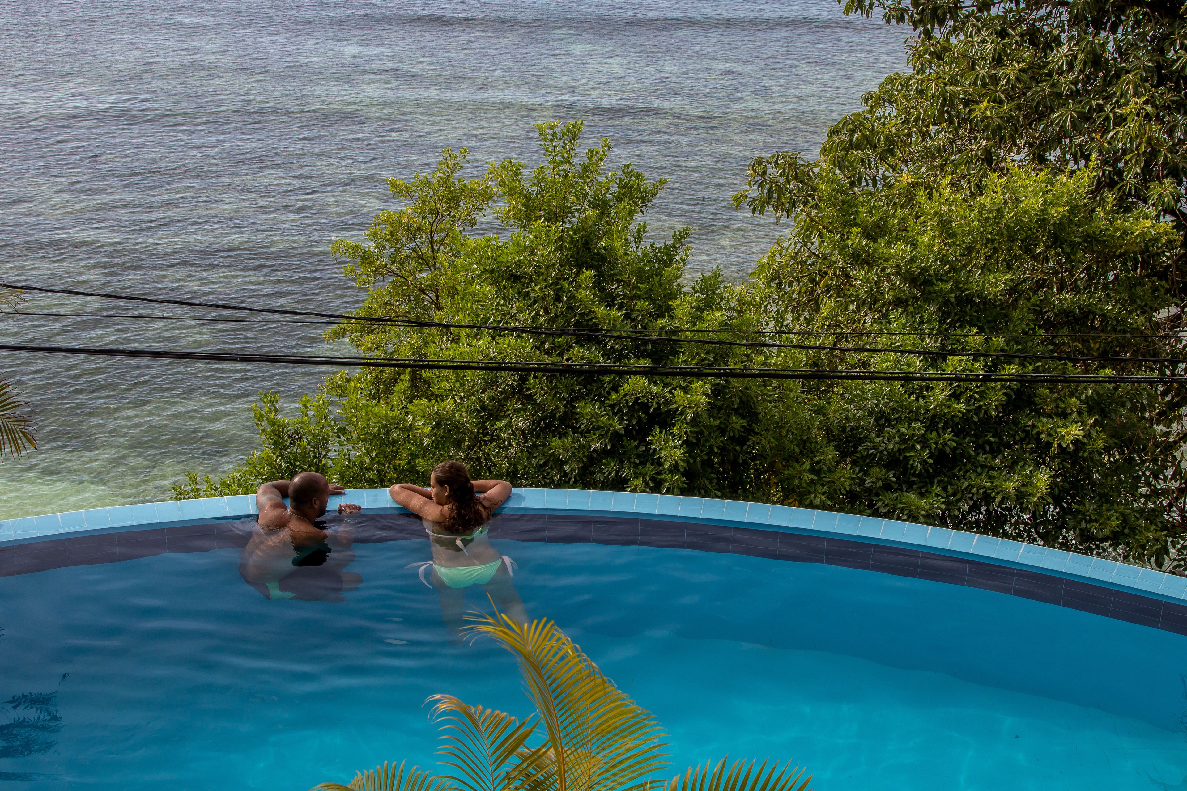 Ein Pool mit Blick auf das Meer, umgeben von üppiger Vegetation.