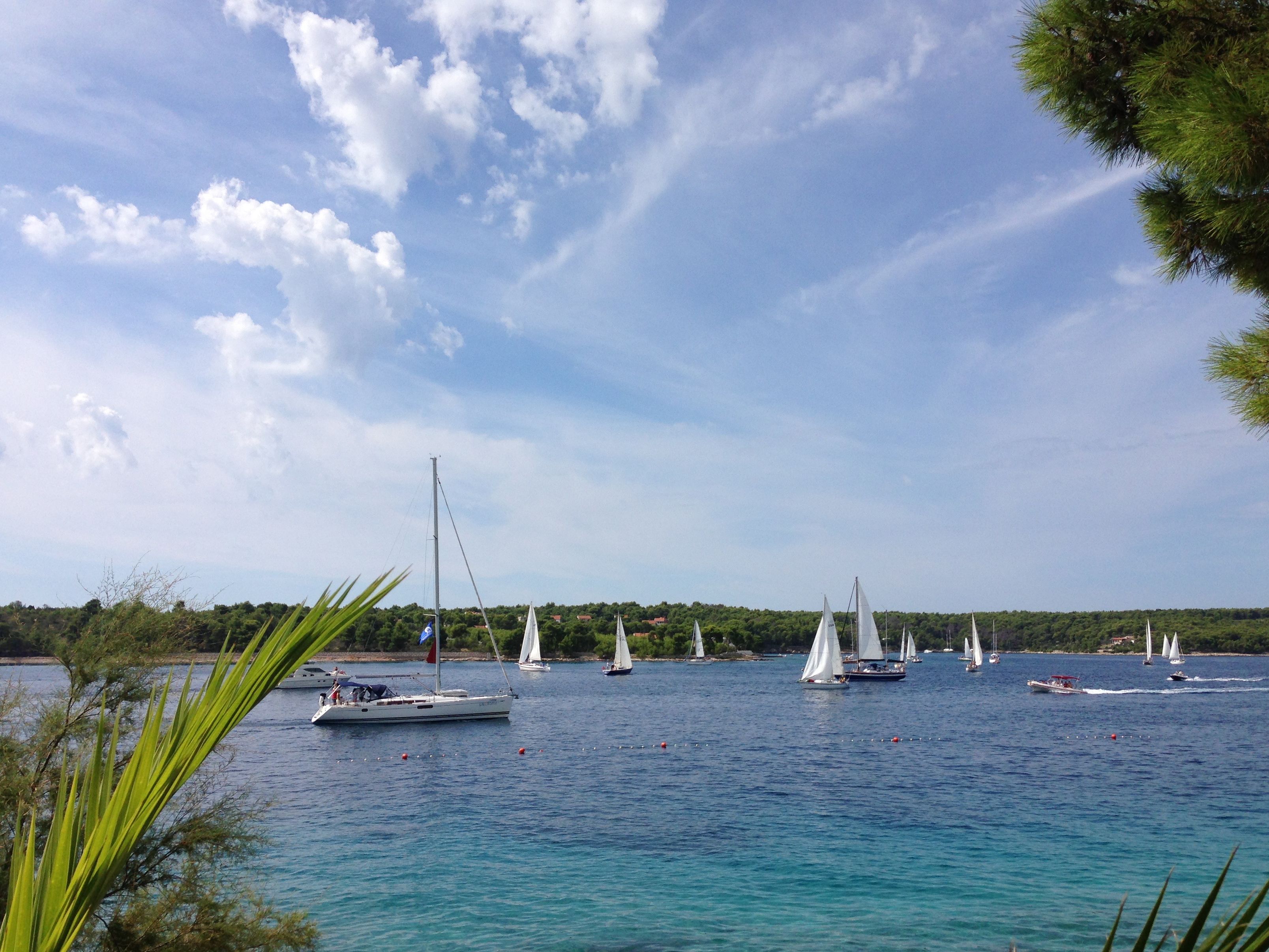 A marina with several sailboats and yachts.