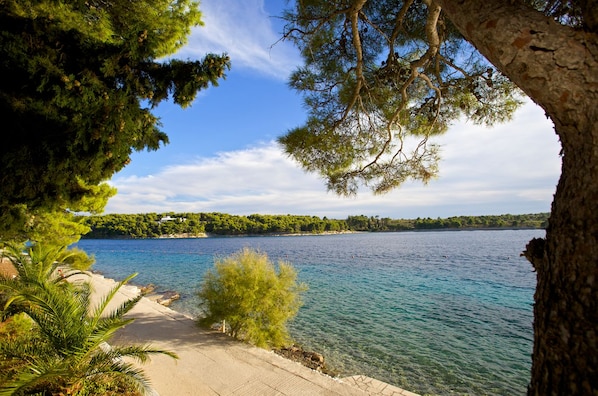 Utsikt fra overnattingsstedet