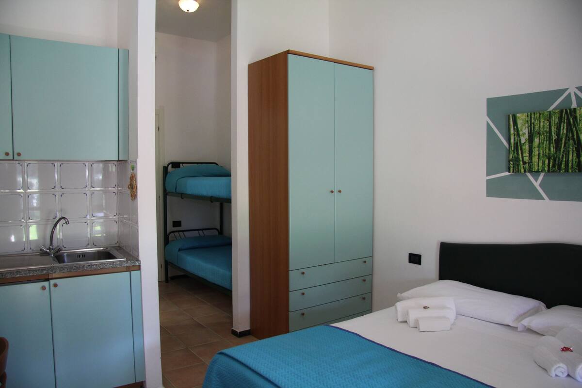 A room with a bed, a wardrobe, a sink, and a small kitchenette.