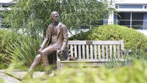 A bronze statue of a seated man on a bench surrounded by greenery. - Christs College Cambridge (Cambridge)