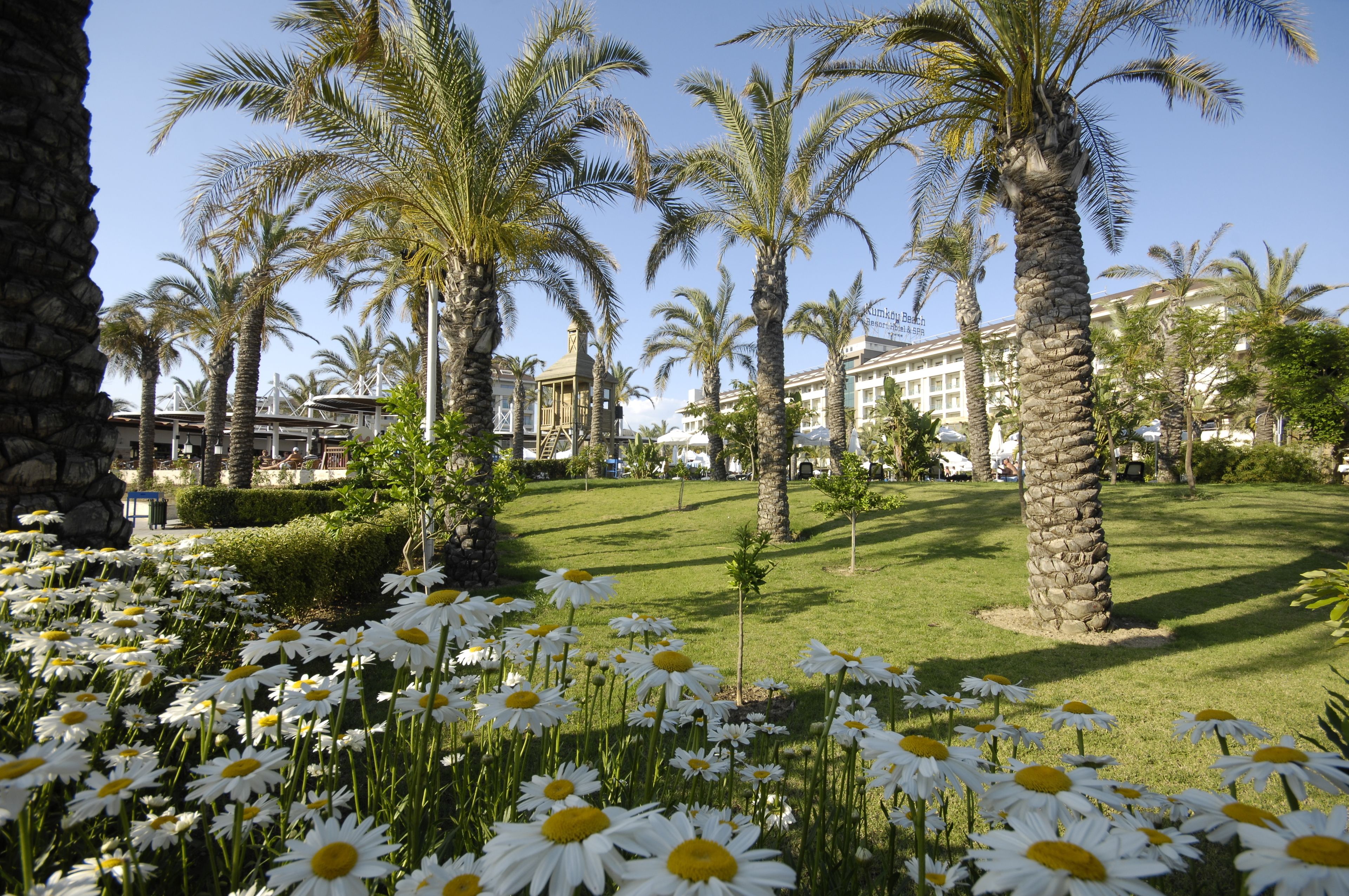 Foto - Sunis Kumköy Beach Resort Hotel & Spa