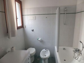 Rainfall showerhead, hair dryer, bidet, towels