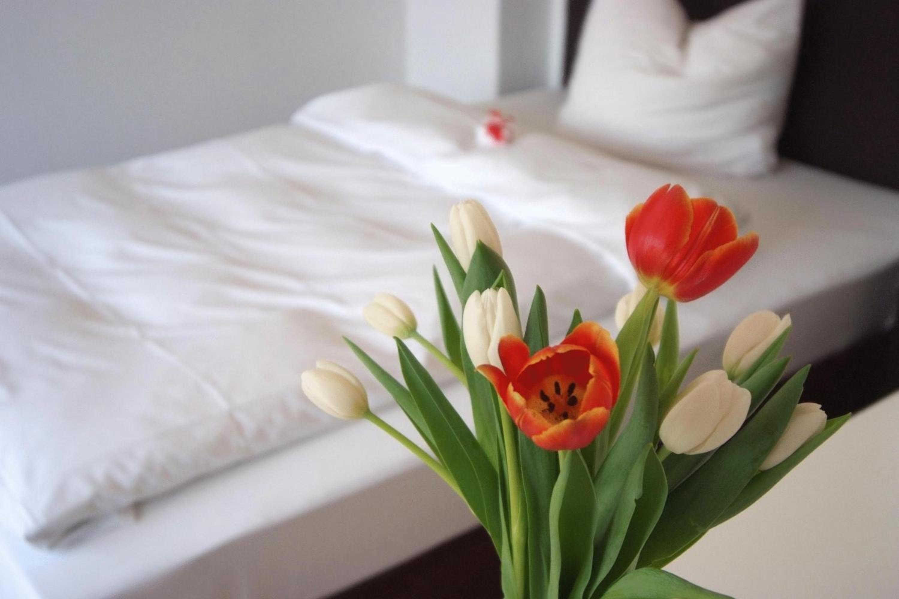 Foto - SEEGER Living Comfort Downtown