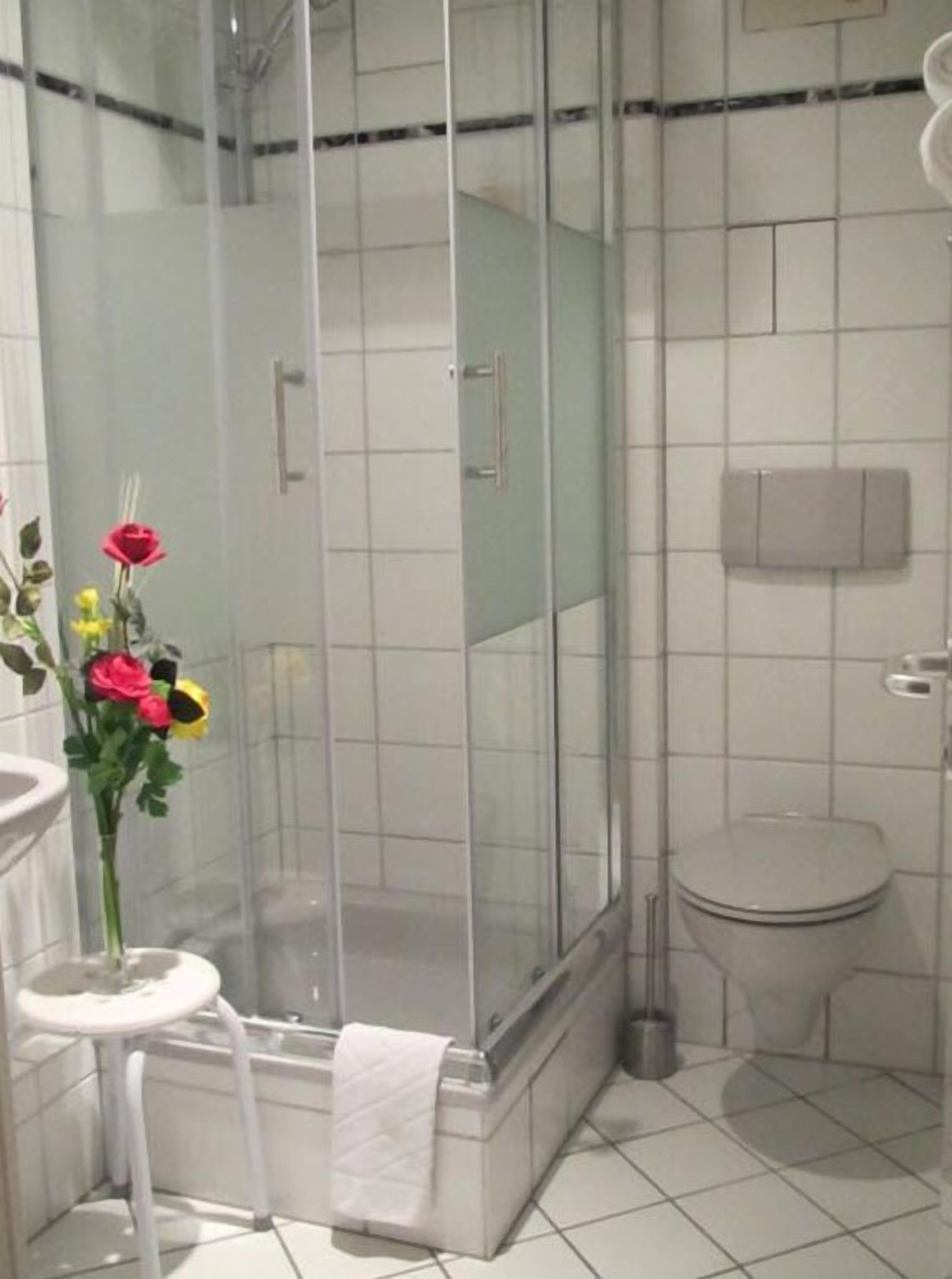 shower, free toiletries, hair dryer, towels