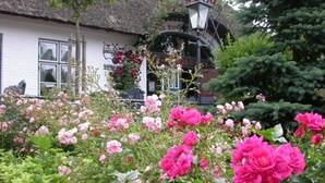 Un jardín con flores rosadas y blancas frente a un edificio blanco de techo de paja.
