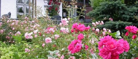 A garden with pink and white flowers in front of a white building with a thatched roof.