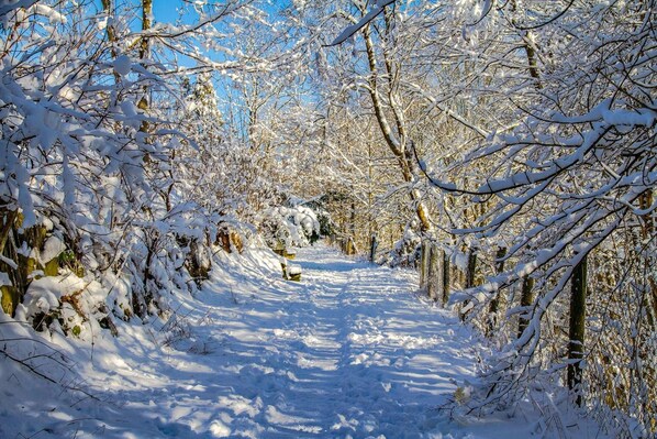 Property grounds - Hotel Schneider (Winterberg)