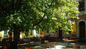 Een terras met houten tafels en stoelen, omringd door bomen en gebouwen.