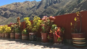 A terrace with potted plants and a mountain view. - Pisac Inca Guest House - Hostel (Pisac)