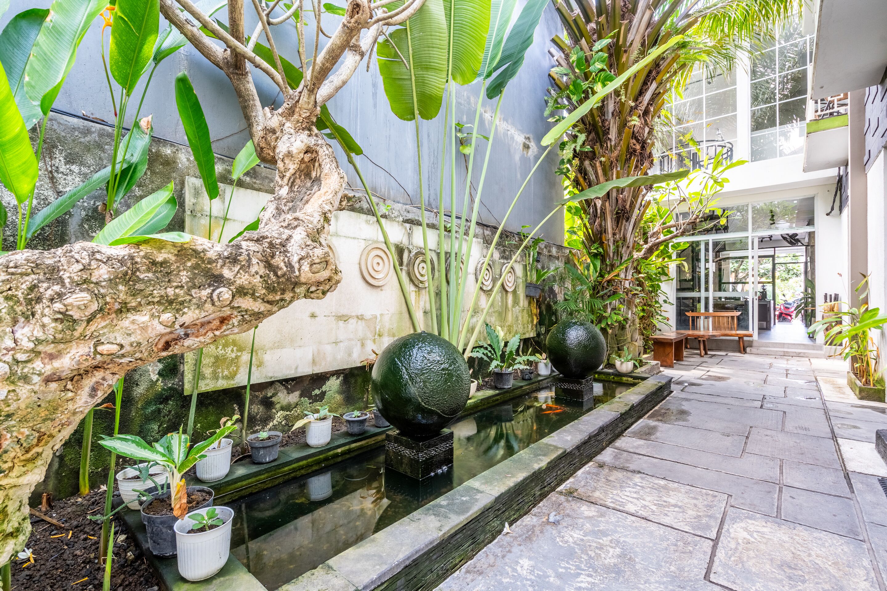 Outdoor pool, pool loungers