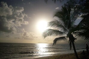 Ein Strand mit Palmen und einem Sonnenuntergang über dem Meer.