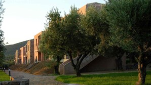 A pathway leading to a building with a stone wall on one side and trees in the foreground. - Liotrivi Historical Mansion & Hotel (Monemvasia)