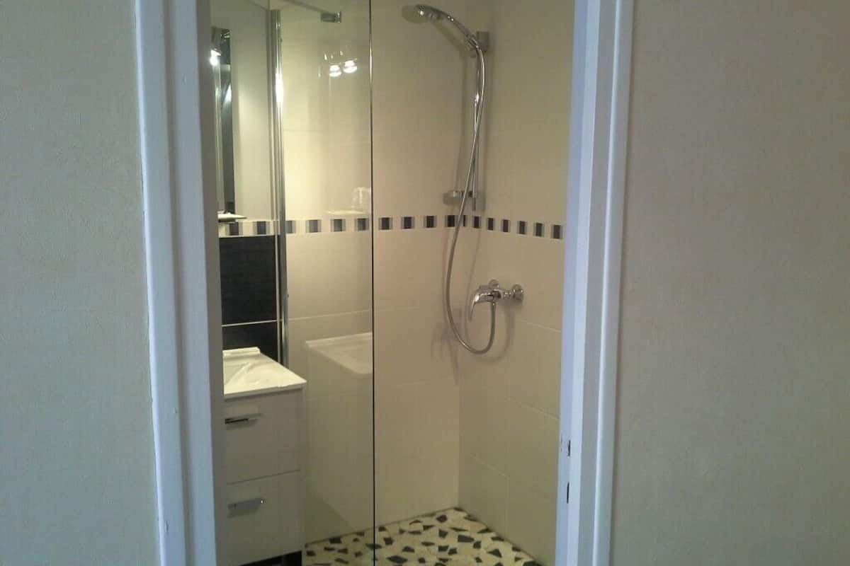 classic double room | bathroom shower