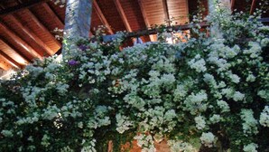 Una escalera de piedra que lleva a una entrada cubierta adornada con enredaderas de flores blancas.