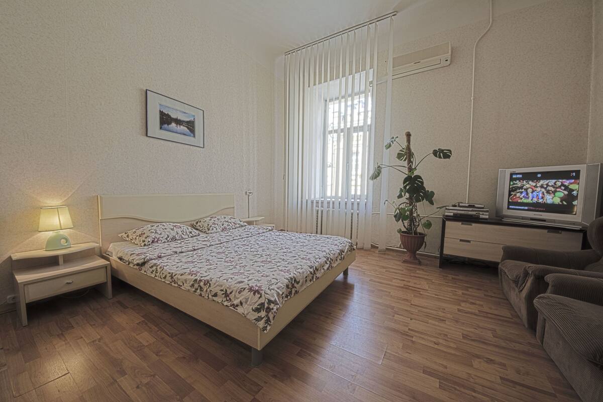 Un dormitorio con cama, mesita de noche con lámpara, televisor, planta y ventana con persianas.