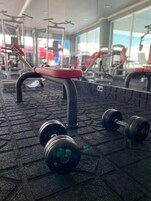 Equipo de gimnasio, incluyendo un banco y mancuernas, sobre un suelo de alfombras de goma.