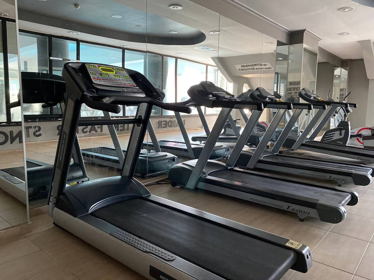 A gym with multiple treadmills lined up in rows.