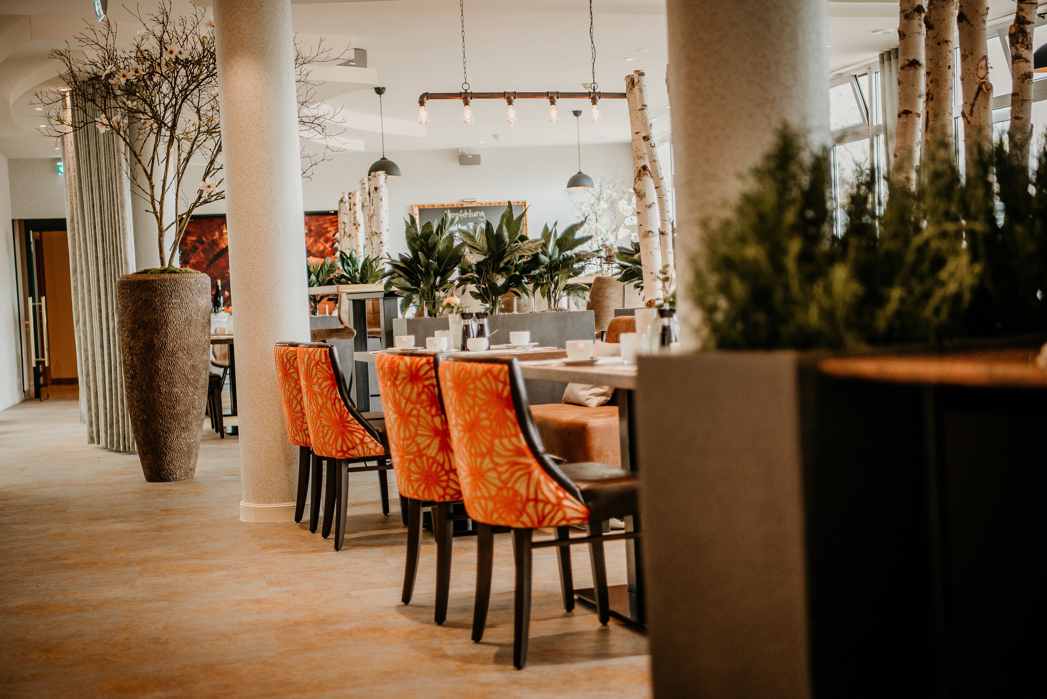 Un comedor moderno con una mesa larga, sillas con estampado naranja y grandes macetas.