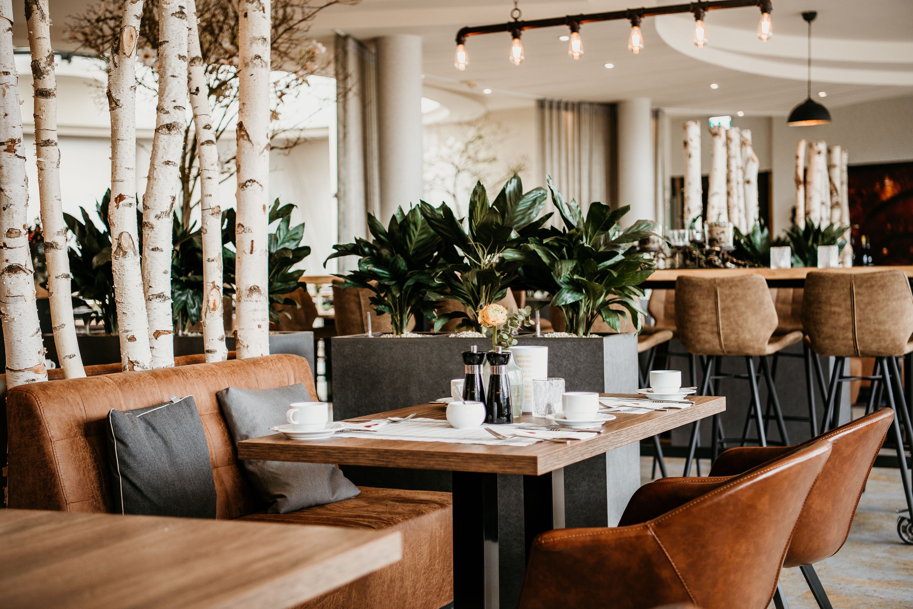 dinner served, garden views