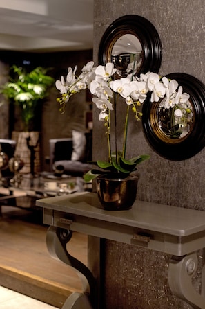 A potted orchid on a metal shelf with a mirror and a record on the wall. - The New Hotel Zeybek (Izmir)