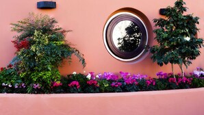 Un mur rose orné d’une fenêtre ronde, un petit arbre et une variété de fleurs aux couleurs vives.