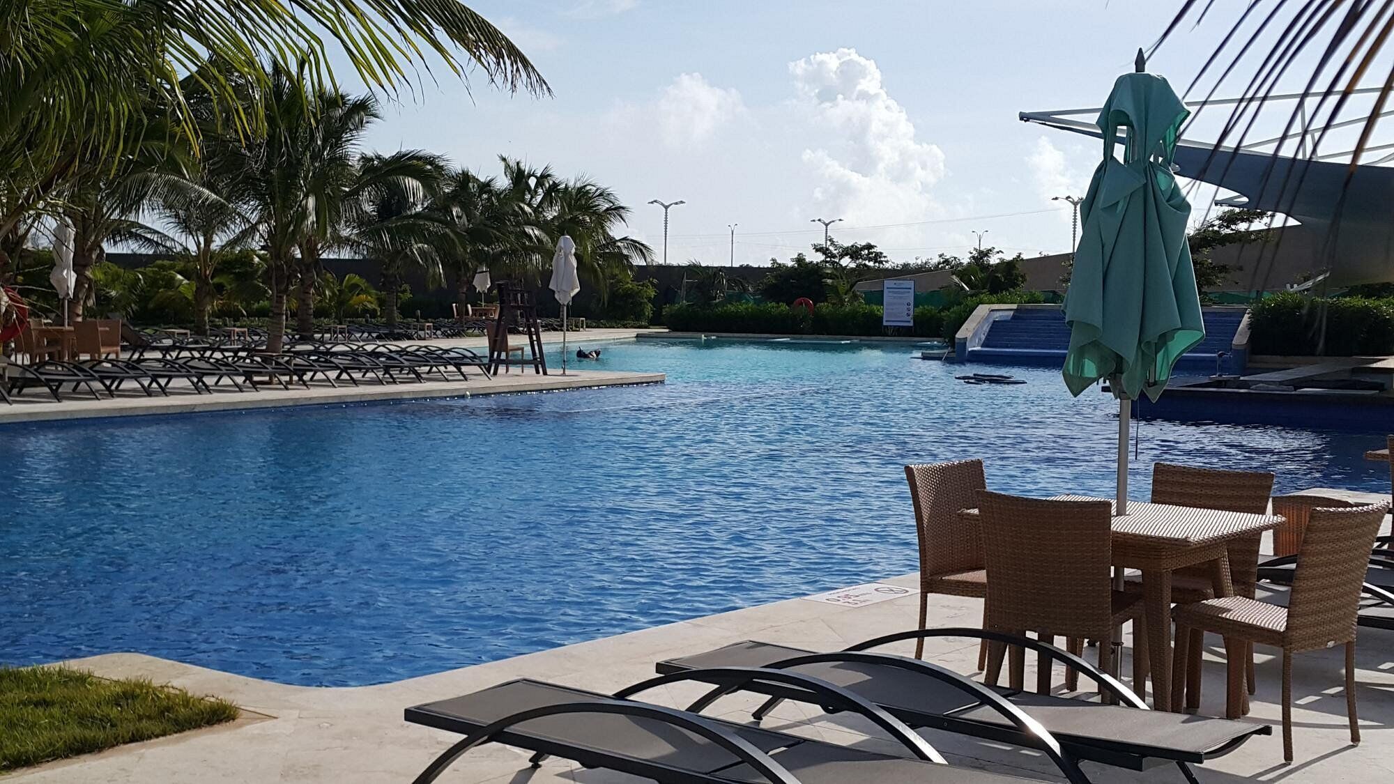 Un espace piscine agrémenté de chaises longues et de parasols, le tout entouré de palmiers.
