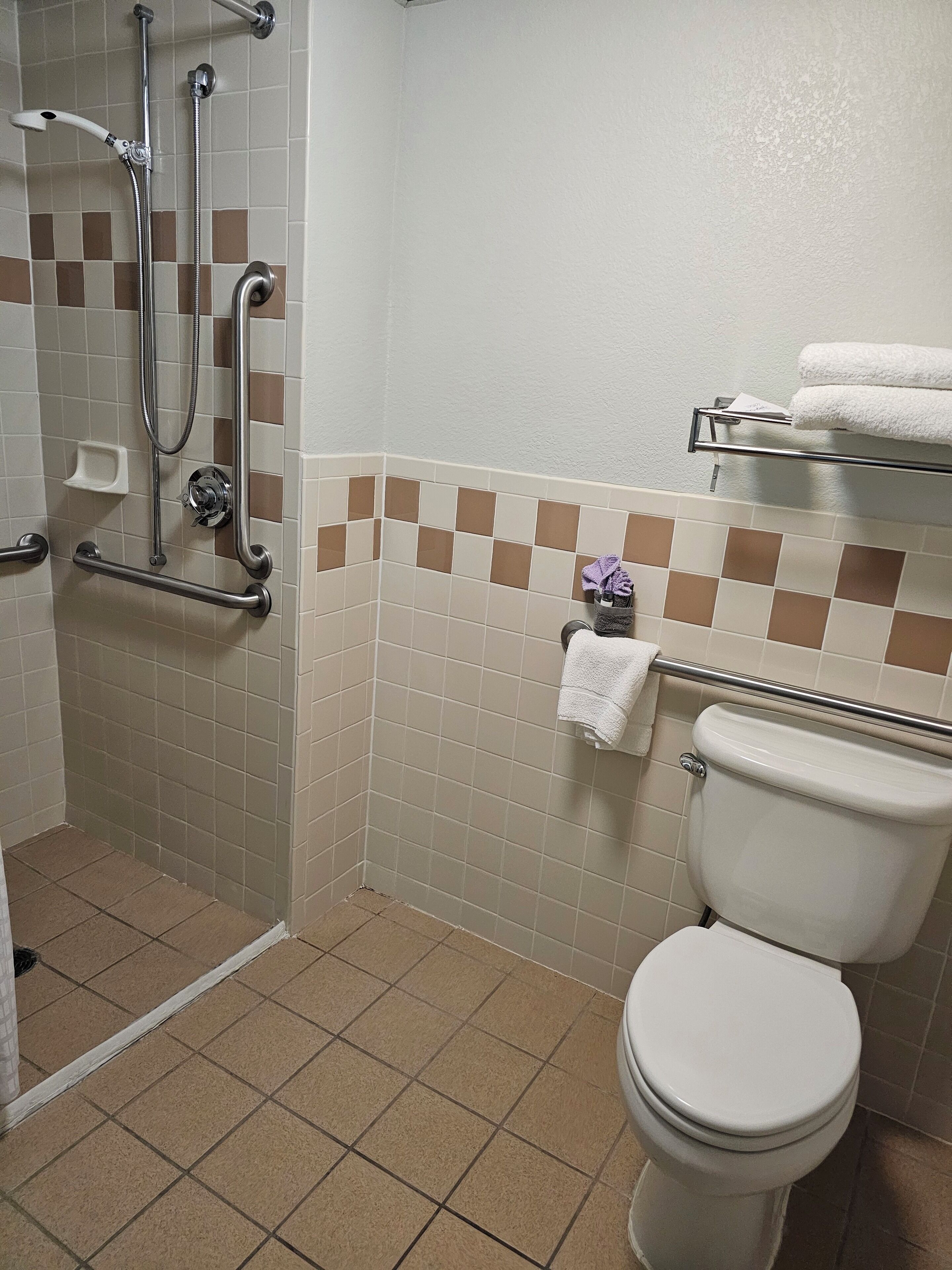 A bathroom with a shower, toilet, and towel rack.