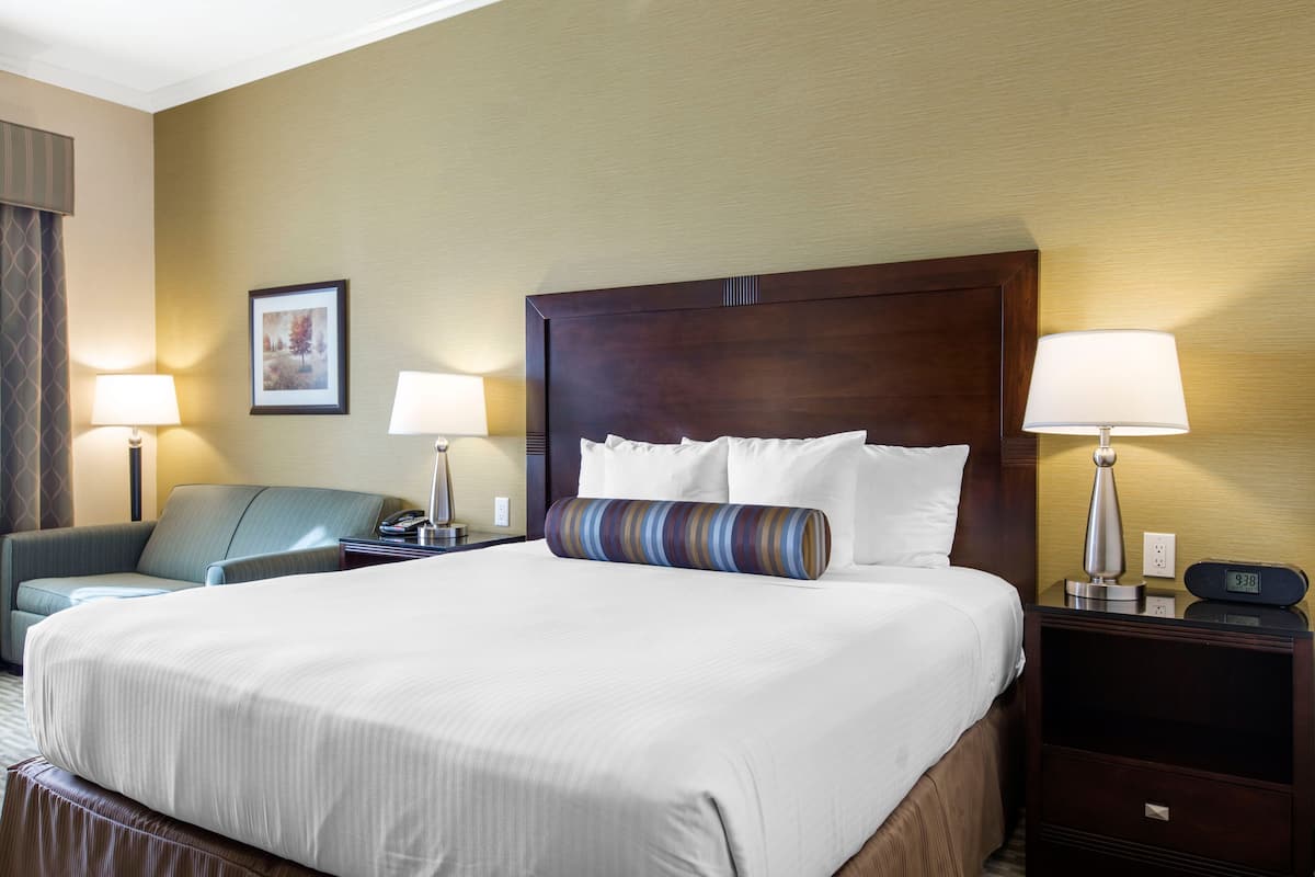 Room, 1 King Bed, Accessible, Non Smoking