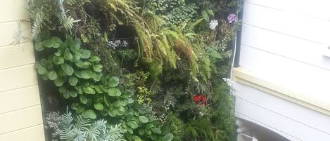 Un jardin vertical agrémenté de différentes plantes et fleurs, adossé à un mur, avec un sol carrelé et une porte à côté de laquelle se trouve une petite plante en pot.