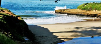 Ocean Echo Inn and Beach Cottages