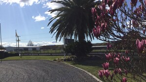 A gravel driveway leading to a building with a sign that reads "Thomas." - Thornton Lodge Motel (Waipukurau)
