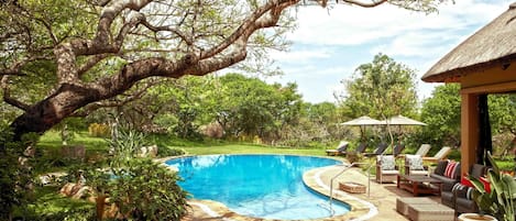 Outdoor pool, sun loungers