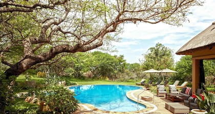 Thanda Safari