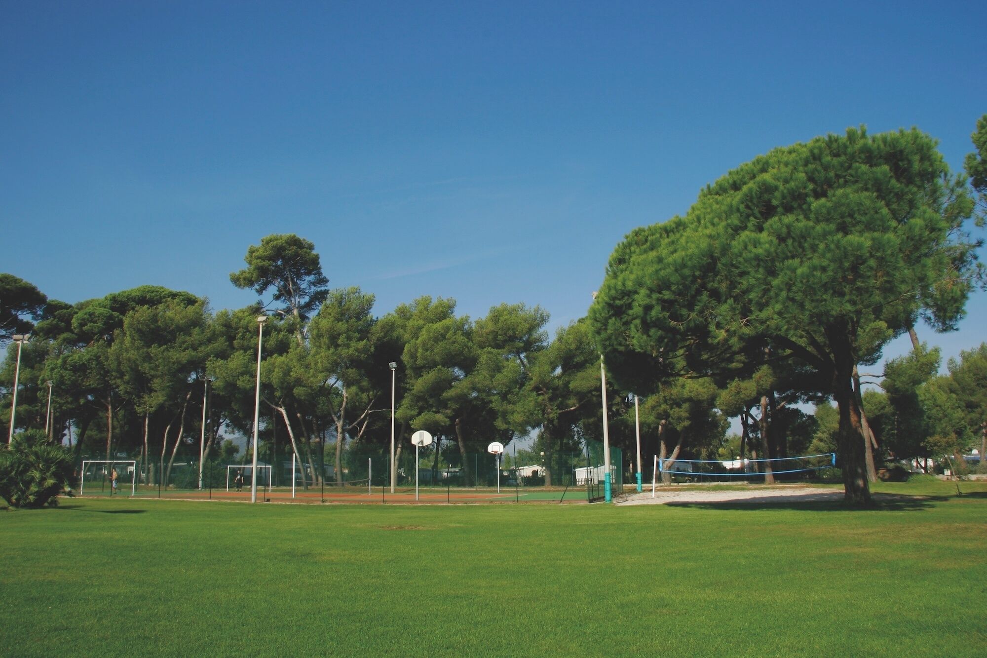 A park with a basketball court, trees, and a clear sky.