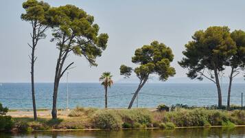 Un paisaje costero con árboles, un cuerpo de agua y vista al mar.
