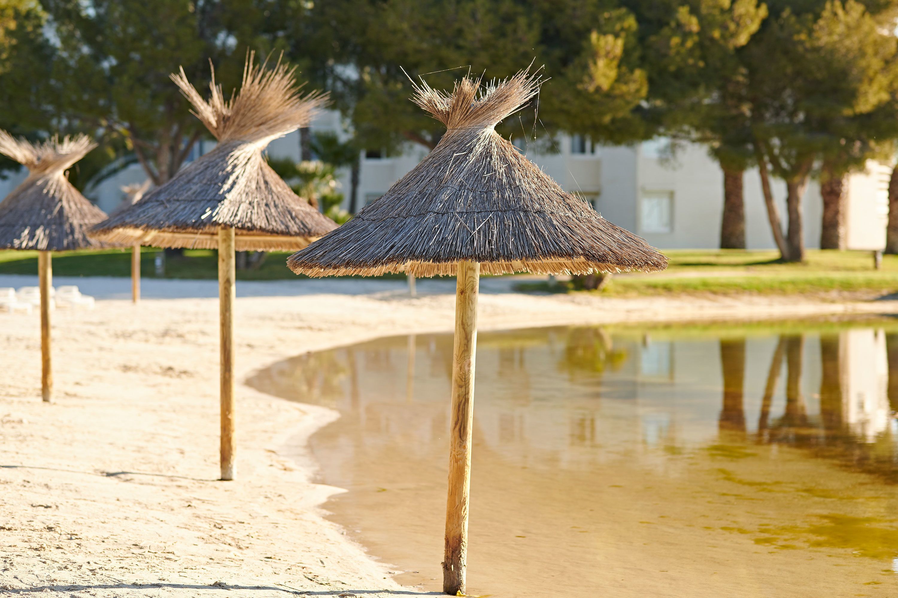 A beach with thatched umbrellas and a calm water body.