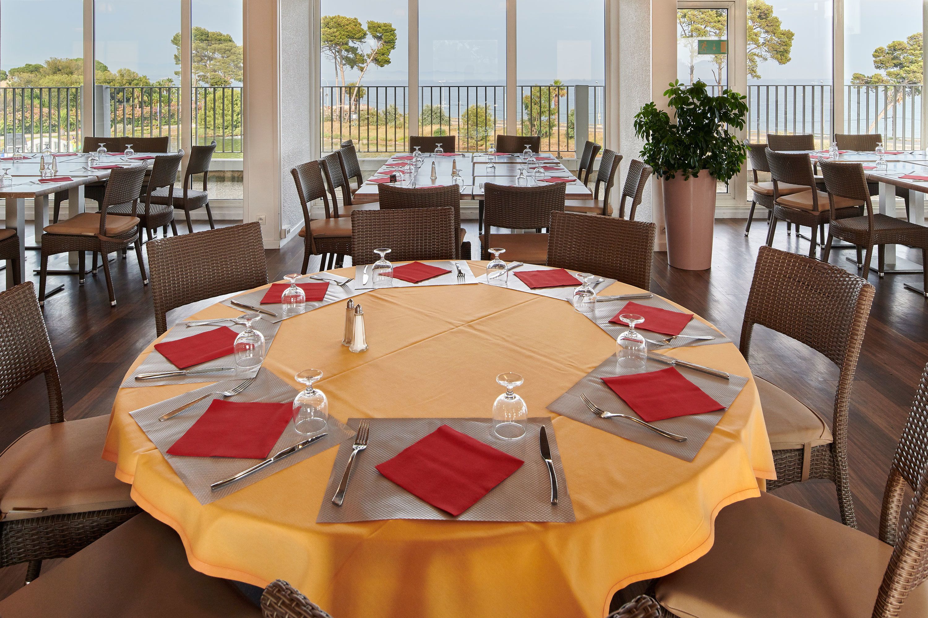 A dining area with round tables, brown wicker chairs, and a large potted plant.