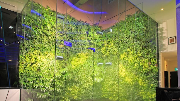 Un lobby moderno con un muro de vidrio que refleja un exuberante muro verde y un piso pulido.